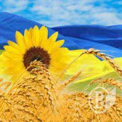 Заради миру третина українців готова поступитись суверенітетом Заради миру третина українців готова поступитись суверенітетом