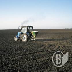 Аграрії Чернігівщини засіють 1 мільйон гектарів Аграрії Чернігівщини засіють 1 мільйон гектарів