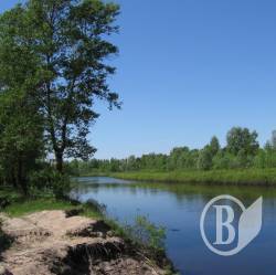 За добу на водоймах Чернігівщини знайшли тіла 2-х людей За добу на водоймах Чернігівщини знайшли тіла 2-х людей