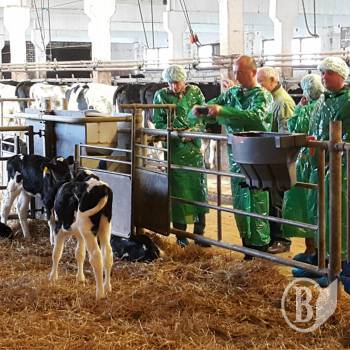 ���������� ���������� ��� ����������� ���� ����������� ������������