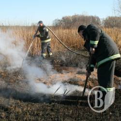 На Чернігівщині горить 74,92 га торф'яників На Чернігівщині горить 74,92 га торф'яників