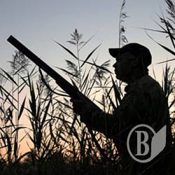 Влучний постріл обійшовся у 8000 грн Влучний постріл обійшовся у 8000 грн