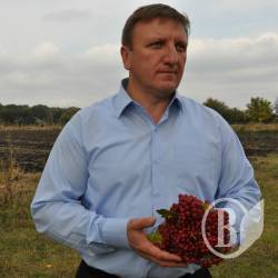 Грузинський досвід для українських реалій Грузинський досвід для українських реалій