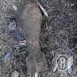 Піротехніки знищили 5 боєприпасів часів Другої світової. Фото Піротехніки знищили 5 боєприпасів часів Другої світової. Фото