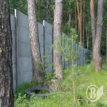 Органи дослідять «недбалість» із виділенням земель лісового фонду Органи дослідять «недбалість» із виділенням земель лісового фонду