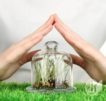 ��� ���������� ���� ������� �������