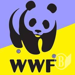 WWF набирає у «Лісову варту»