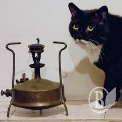 Попалися двоє з наркотиками і примусом Попалися двоє з наркотиками і примусом