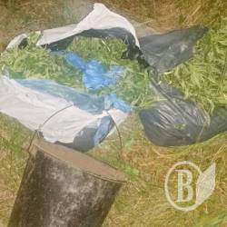 Попался юнец с двумя сумками «травы» Попался юнец с двумя сумками «травы»