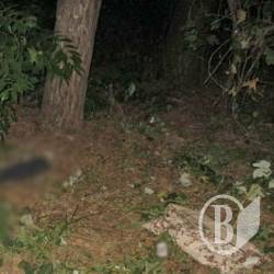 Затримані крадії-гастролери, які вбили чернігівця. Фото Затримані крадії-гастролери, які вбили чернігівця. Фото