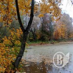 Осінь у Кучиновограді. Фоторелаксація Осінь у Кучиновограді. Фоторелаксація