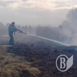Пожежники гасять торфовище і просять не додавати роботи. Фото Пожежники гасять торфовище і просять не додавати роботи. Фото