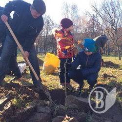 На місці відміненої забудови насадили алею. Фото На місці відміненої забудови насадили алею. Фото