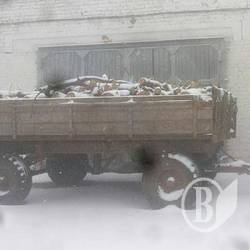 Любителі дуба попалися в лісосмузі Любителі дуба попалися в лісосмузі