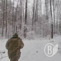 Крестьянин, который напилил ольхи, остался без трактора Крестьянин, который напилил ольхи, остался без трактора