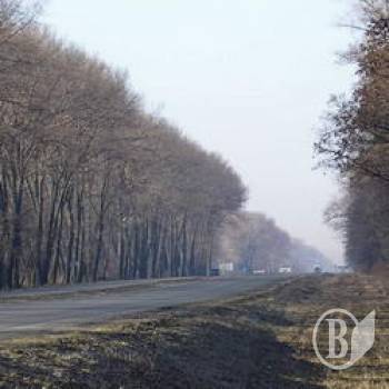 На київській трасі загинув 33-літній пішохід