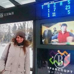 Транспортна реформа по-житомирськи Транспортна реформа по-житомирськи