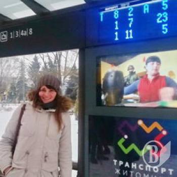 Транспортна реформа по-житомирськи Транспортна реформа по-житомирськи