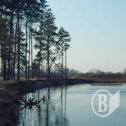 Фоторелаксація на весняному Снові Фоторелаксація на весняному Снові