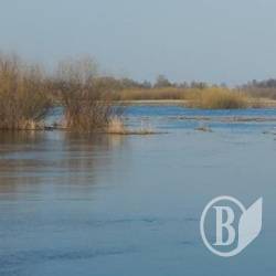 Рівні води на Дніпрі й Десні 2 квітня Рівні води на Дніпрі й Десні 2 квітня