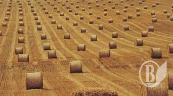 ����� �� ��������������� ��������� ������ ��������?