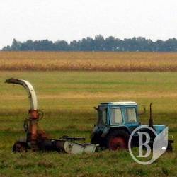 Закінчилася казкова оренда по 14 грн за гектар Закінчилася казкова оренда по 14 грн за гектар