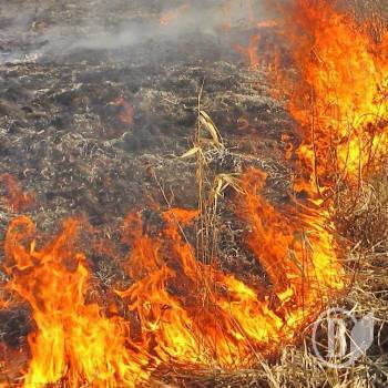 Виїхали випити «на природу» – пийте так, щоб за вами пожежники не їхали Виїхали випити «на природу» – пийте так, щоб за вами пожежники не їхали