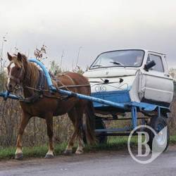 Шахер-махер з перевезеннями на півтора млн викрили аудитори з податкової Шахер-махер з перевезеннями на півтора млн викрили аудитори з податкової