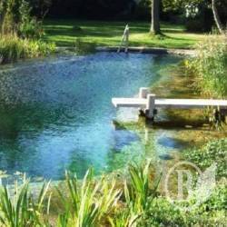 ǳ ������ ������ ��� 37-�������