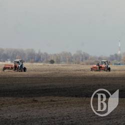 50 га ланів повернуто державі з оренди за казковою ціною 50 га ланів повернуто державі з оренди за казковою ціною