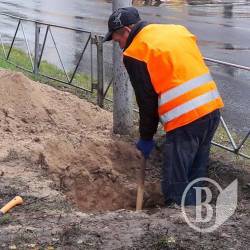На вулиці Рокосовського замінять світлофори на світлодіодні На вулиці Рокосовського замінять світлофори на світлодіодні