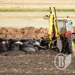 Палять шини в Куликівці. Разом з чотирма тисячами свиней Палять шини в Куликівці. Разом з чотирма тисячами свиней