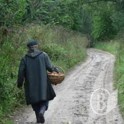 60-літній помер від отруєння грибами 60-літній помер від отруєння грибами