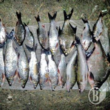 �� ����� ������� ���������