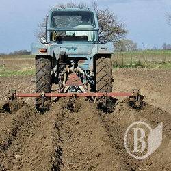 Скорочено час на посадку картоплі, а католицьке Різдво – вихідний Скорочено час на посадку картоплі, а католицьке Різдво – вихідний