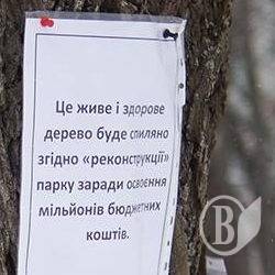 Активісти полікували дерева на Валу Активісти полікували дерева на Валу
