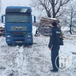 Деревину без документів відверто вантажать вдень Деревину без документів відверто вантажать вдень