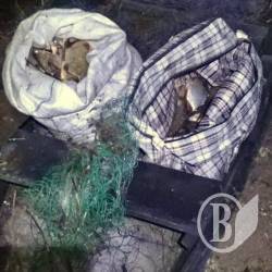 На Дніпрі попався браконьєр-стаханівець На Дніпрі попався браконьєр-стаханівець