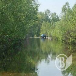 Недоступний для легковиків автошлях до сосницького мосту на Десні Недоступний для легковиків автошлях до сосницького мосту на Десні