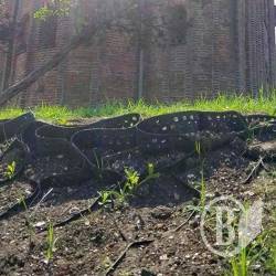 ��������� ��������� ��������� ������� ������� � ����� �������������