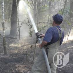 Погорів ліс біля Гончарівського Погорів ліс біля Гончарівського