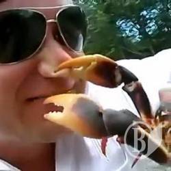 Ловити рака слід не аби як, а за правилами! Ловити рака слід не аби як, а за правилами!