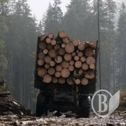 Ліс нелегально їхав до Туреччини і Пакистану Ліс нелегально їхав до Туреччини і Пакистану