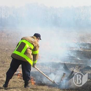Через паліїв та необережних вогонь винищив 32 га за день Через паліїв та необережних вогонь винищив 32 га за день
