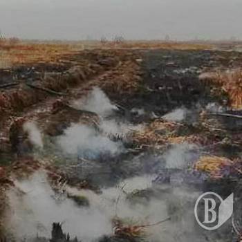 �� ������ ��������� ������ �������� �� �����������