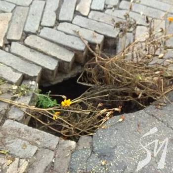 Через провал в Чернігові тролейбуси змінили маршрути Через провал в Чернігові тролейбуси змінили маршрути