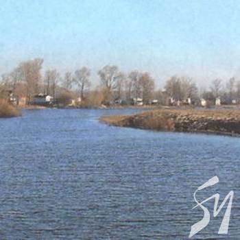 Тіло 36-літнього з Сумщини підняли з озера на Чернігівщині Тіло 36-літнього з Сумщини підняли з озера на Чернігівщині