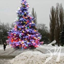 Чернігівець пропонує ялину на місце постамента «вождя» Чернігівець пропонує ялину на місце постамента «вождя»
