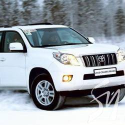   Toyota Prado  25-  