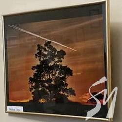 Відкрито звітну фотовиставку фотохудожників Чернігівщини Відкрито звітну фотовиставку фотохудожників Чернігівщини